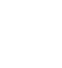 Business Intelligence